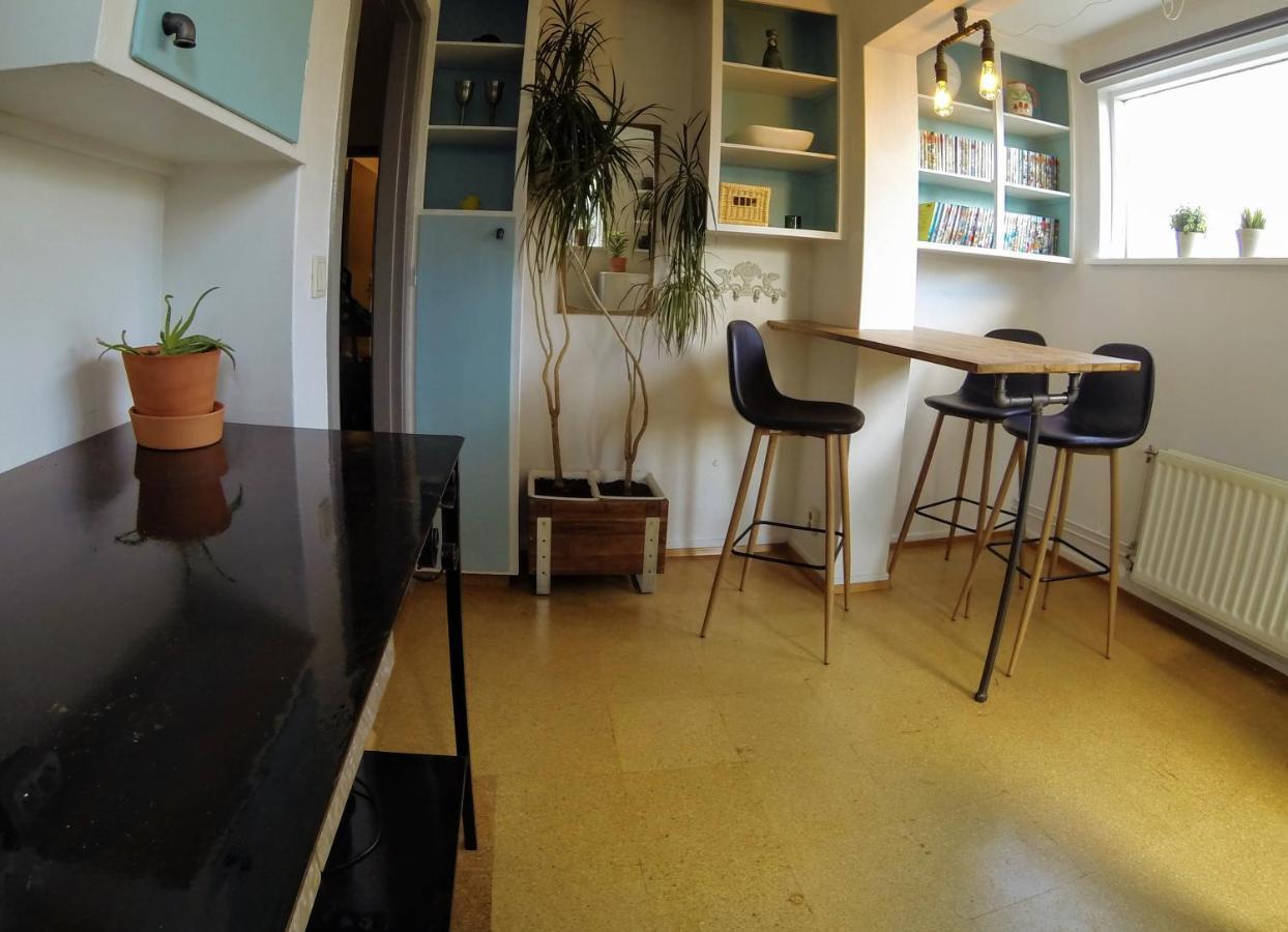 Skjolbraut - Cozy Apartment - Central Location - Free Parking - Close To A Public Swimming Pool And Sky Lagoon Рейк'явік Екстер'єр фото